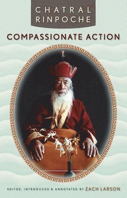 bokomslag Compassionate Action
