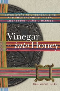 bokomslag Vinegar into Honey