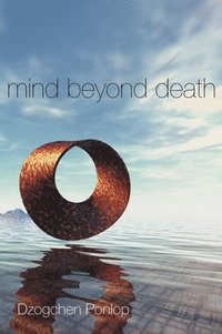 bokomslag Mind Beyond Death