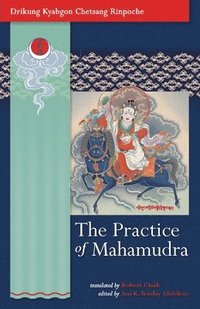 bokomslag The Practice of Mahamudra