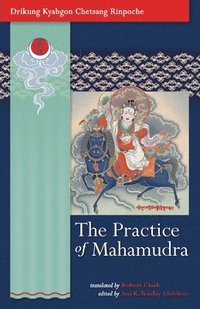 bokomslag The Practice of Mahamudra: The Teachings of His Holiness, the Drikung Kyabgon, Chetsang Rinpoche