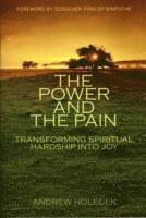 bokomslag Power and the Pain