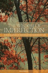 bokomslag The Wisdom of Imperfection