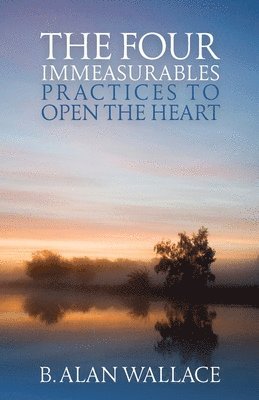 bokomslag Four Immeasurables