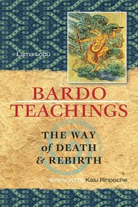 bokomslag Bardo Teachings