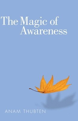 The Magic of Awareness 1