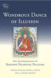 bokomslag Wondrous Dance of Illusion