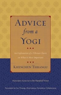 bokomslag Advice from a Yogi