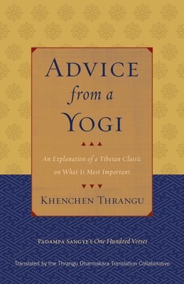 bokomslag Advice from a Yogi