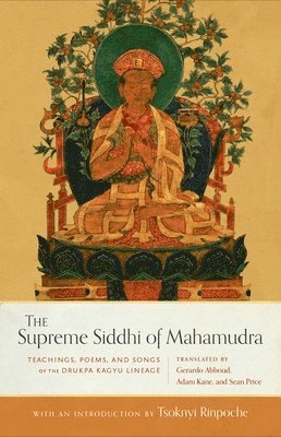 bokomslag The Supreme Siddhi of Mahamudra