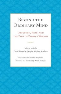 bokomslag Beyond the Ordinary Mind