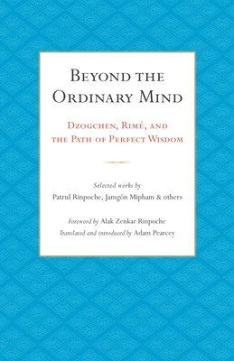 bokomslag Beyond the Ordinary Mind