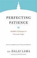 bokomslag Perfecting Patience