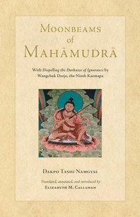 bokomslag Moonbeams of Mahamudra