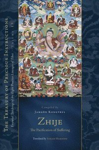 bokomslag Zhije: The Pacification of Suffering