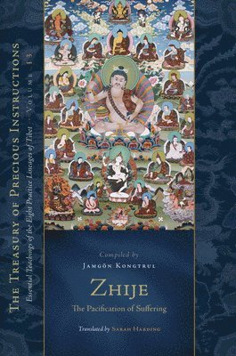 bokomslag Zhije: The Pacification of Suffering