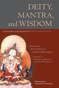 bokomslag Deity, Mantra, and Wisdom