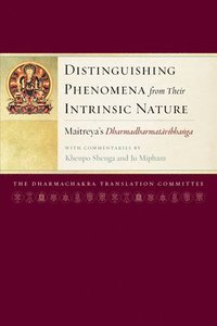 bokomslag Distinguishing Phenomena from Their Intrinsic Nature