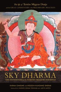 bokomslag Sky Dharma