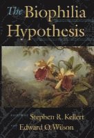 bokomslag The Biophilia Hypothesis
