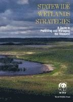 bokomslag Statewide Wetlands Strategies