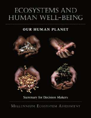 bokomslag Ecosystems and Human Well-Being: Our Human Planet