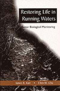 bokomslag Restoring Life in Running Waters