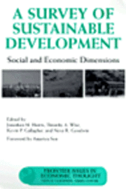 bokomslag A Survey of Sustainable Development