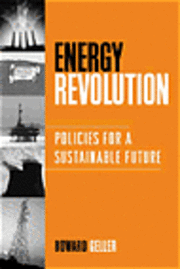 bokomslag Energy Revolution