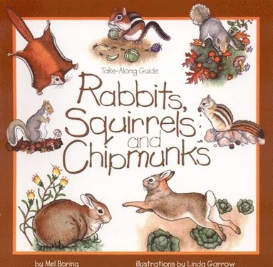 Mel Boring - Rabbits, Squirrels and Chipmunks, Häftad