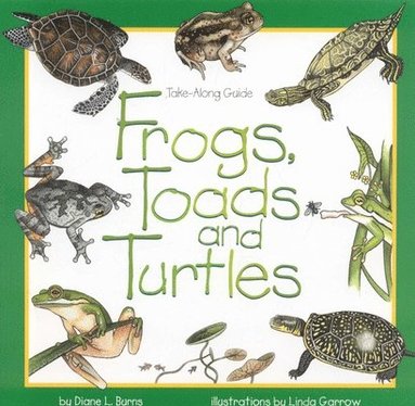 Diane Burns - Frogs, Toads and Turtles, Häftad