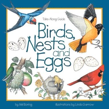 Mel Boring - Birds, Nests, and Eggs, Häftad