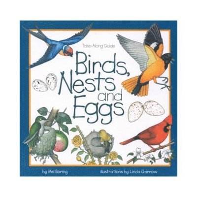 Birds, Nests, and Eggs 1