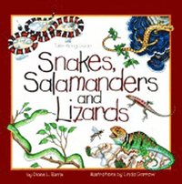 bokomslag Snakes, Salamanders & Lizards