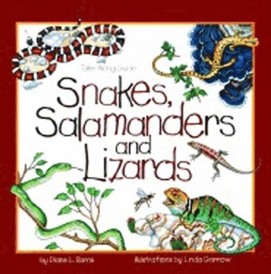Diane Burns - Snakes, Salamanders & Lizards, Häftad