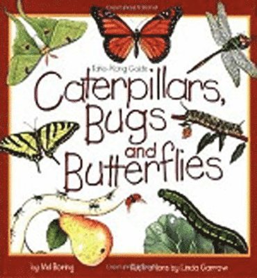 Mel Boring - Caterpillars, Bugs and Butterflies, Häftad