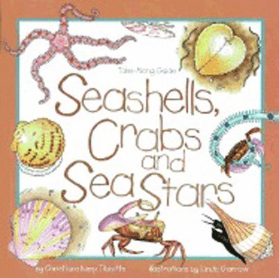 Christiane Kump Tibbitts - Seashells, Crabs and Sea Stars, Häftad