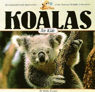Koalas for Kids 1