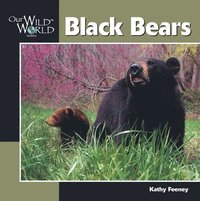 bokomslag Black Bear
