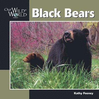 Kathy Feeney, John F. McGee - Black Bears, Häftad