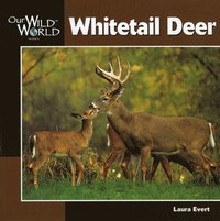 bokomslag Whitetail Deer