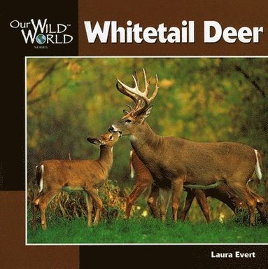Laura Evert - Whitetail Deer, Häftad
