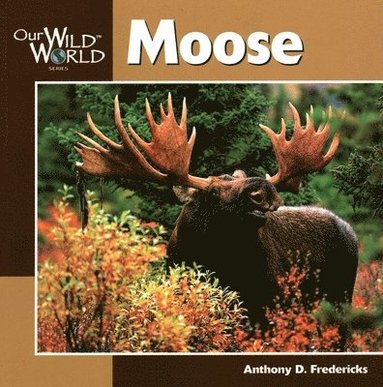 Anthony Fredericks - Moose, Häftad
