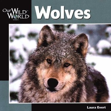 Laura Evert - Wolves, Häftad