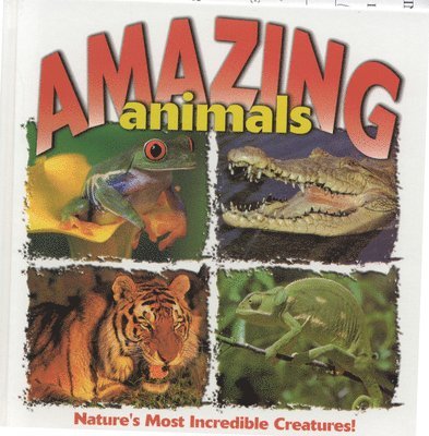 Amazing Animals 1