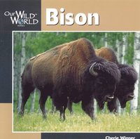 bokomslag Bison