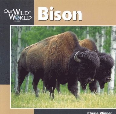 Cherie Winner - Bison, Häftad