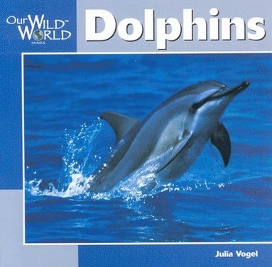 Julia Vogel - Dolphins, Häftad