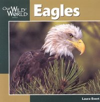 bokomslag Eagles