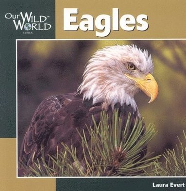 Laura Evert - Eagles, Häftad